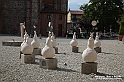 VBS_7634 - Mostra della Ceramica di Castellamonte 2021